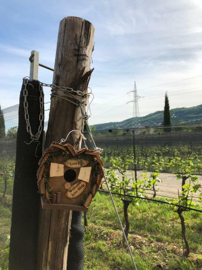 Maso Maroni Agriturismo Куинто-ди-Вальпантена Экстерьер фото