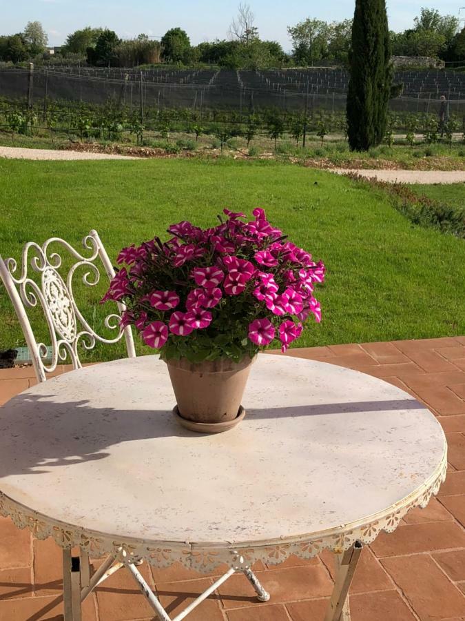 Maso Maroni Agriturismo Куинто-ди-Вальпантена Экстерьер фото